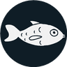 WhiteFish